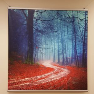 Canvas Photo Prints