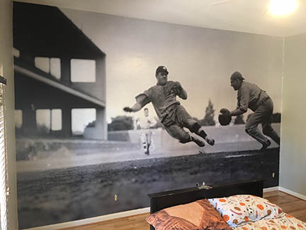 Wall Mural for a Baseball Fan in Scottsdale, AZ