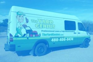 vehicle graphics chandler az